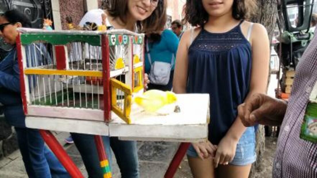 Pajaritos, ahora te leen la suerte… en las cantinas 