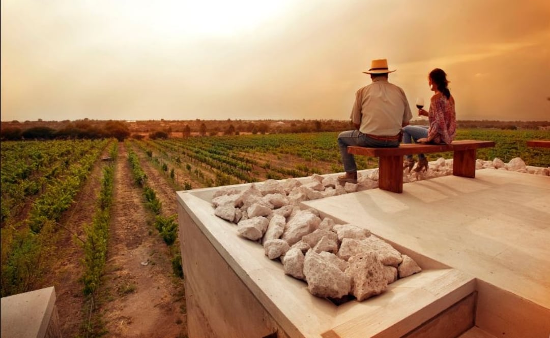 Los viñedos Cuna de Tierra, a 40 minutos desde San Miguel de Allende. Foto: Cortesía