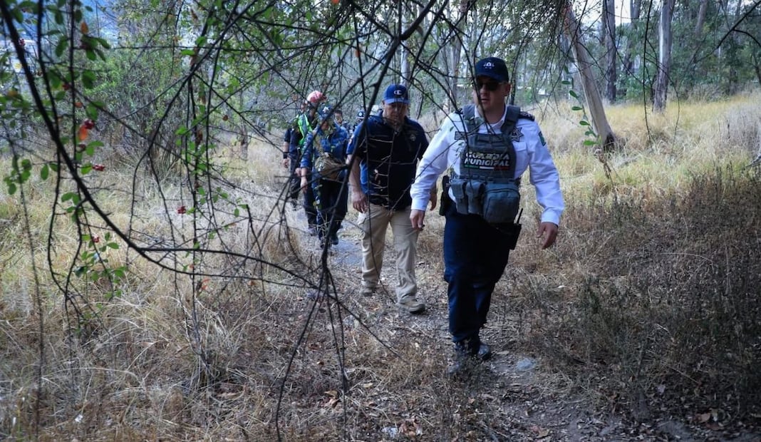 Descartan presencia de pantera en Naucalpan; advierten sanciones por falsas alertas. Foto: Especial