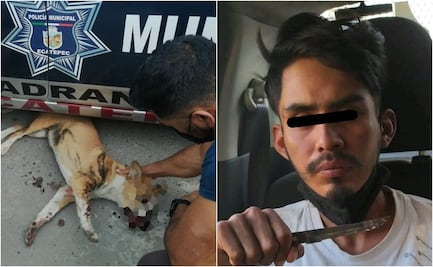 Detienen en Ecatepec a hombre que puso pirotecnia en hocico de perro