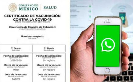 WhatsApp: Cómo descargar el certificado de vacunación Covid-19