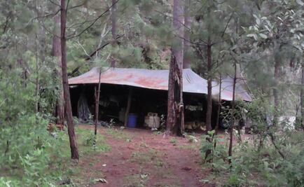 Desmantelan laboratorio de drogas en Jalisco