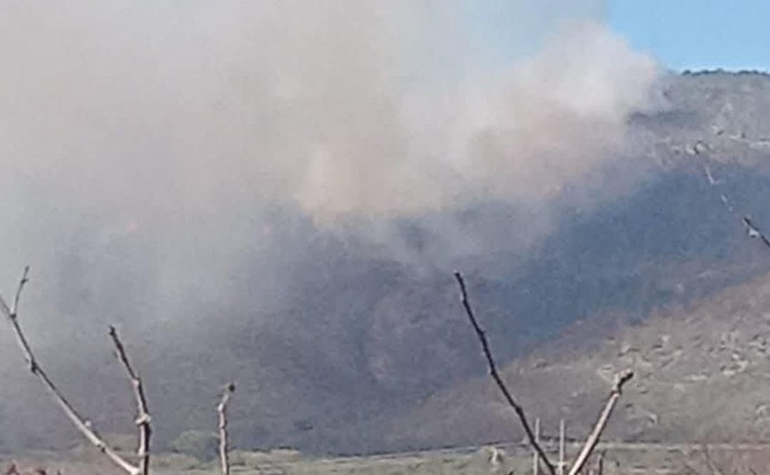 El incendio forestal afecta principalmente a bosques de encinos. Foto: Especial