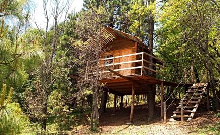 Cuánto cuesta ir al Parque Sensorial Jardines y Puentes Colgantes, en Hidalgo