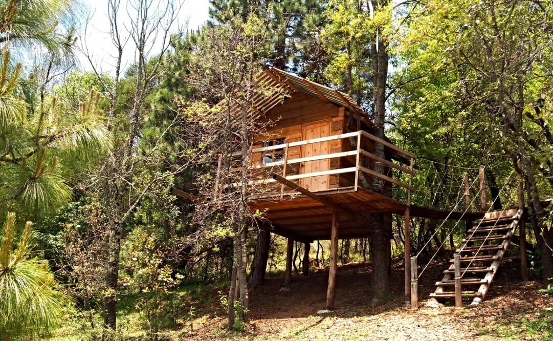El parque tiene cabañas para que te hospedes cerca del Pueblo Mágico de Real del Monte, en Hidalgo. Foto: Parque Sensorial Jardines y Puentes Colgantes
