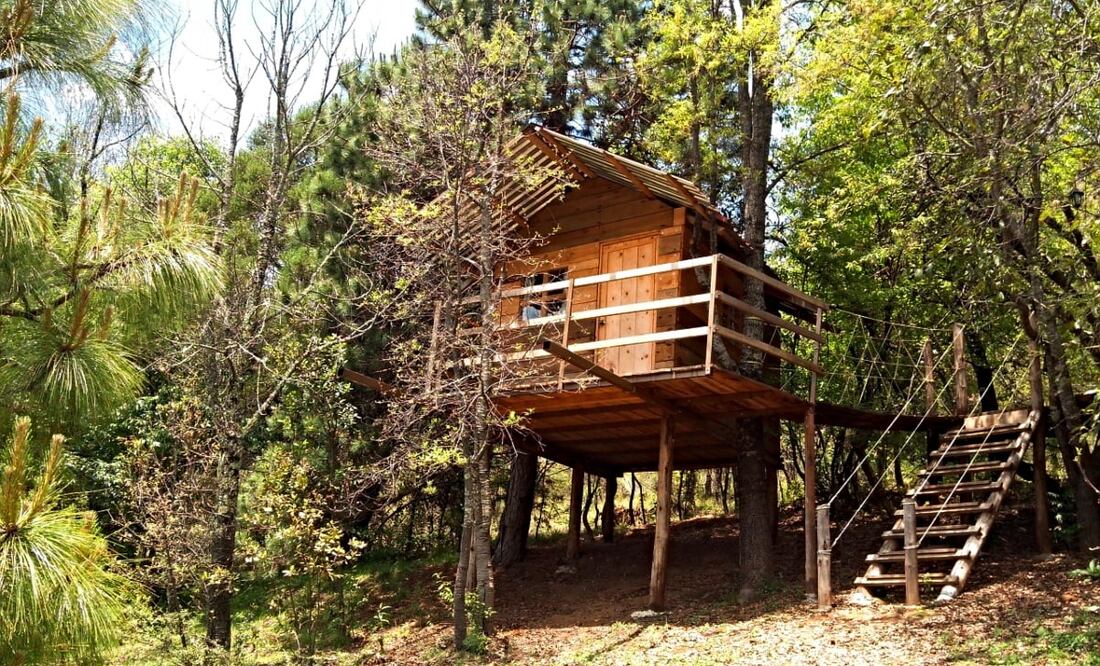 El parque tiene cabañas para que te hospedes cerca del Pueblo Mágico de Real del Monte, en Hidalgo. Foto: Parque Sensorial Jardines y Puentes Colgantes