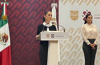 Se convocará a especialistas para investigar muerte de peces en Chapultepec: Sheinbaum