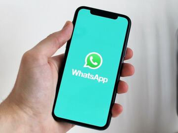 Cómo crear una encuesta en WhatsApp: paso a paso