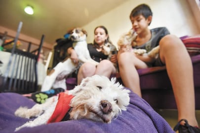 ¡Renta sin discriminación! Proponen que caseros no puedan condicionar vivienda en la CDMX