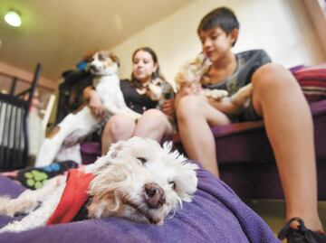 ¡Renta sin discriminación! Proponen que caseros no puedan condicionar vivienda en la CDMX