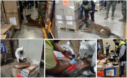 Aseguran cerca de mil 200 kilos de cocaína en aeropuerto de la CDMX