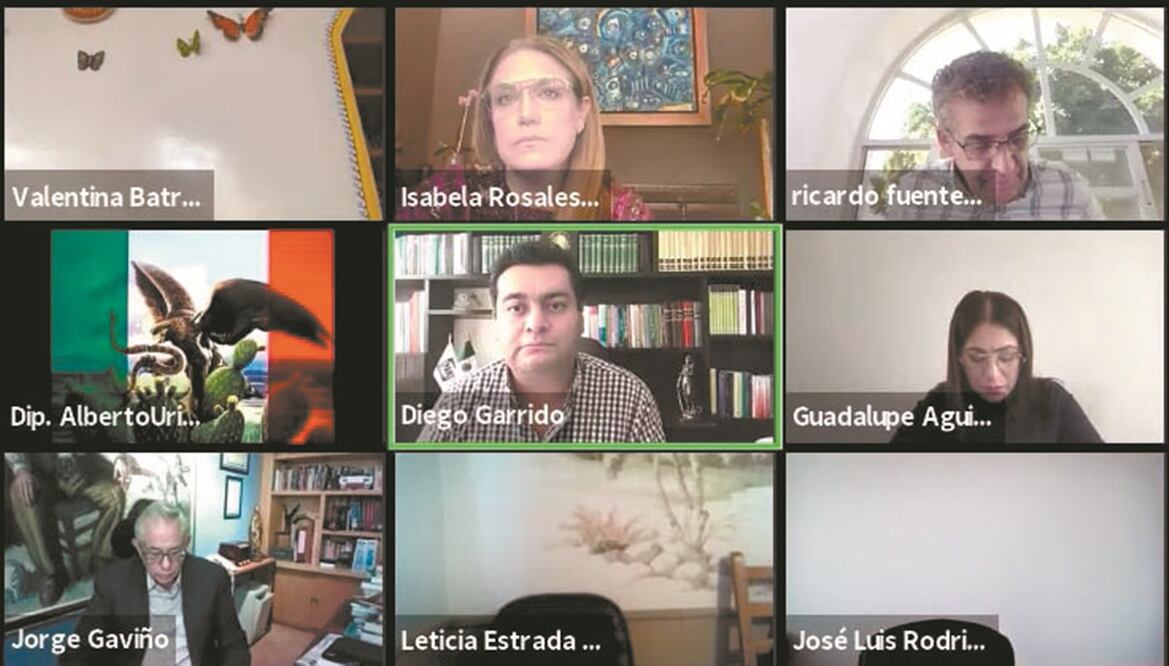 Diego Garrido expuso algunos errores de Morena sobre los bienes de propiedad privada. Foto