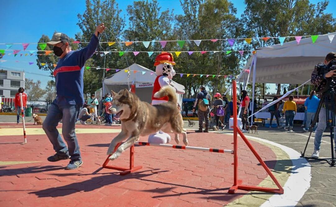 Cientos de personas se congregaron acompañadas de sus animales de compañía para presenciar el inicio de este programa. Foto: Especial