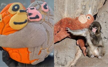 Panadería crea conchas inspiradas en el mono “Punch”; pan enternece a las redes