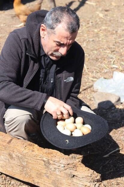 Nuevos Horizontes: el huerto que promueve hortalizas y vegetales recién cosechados