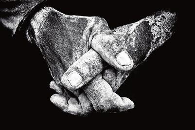 Apple premia la mirada a través del iPhone