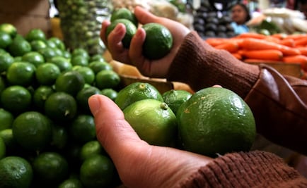 Precio del limón aumenta casi 50% en marzo: Inegi