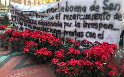 Exigen compra de más de 200 mil Nochebuenas que no se vendieron por bloqueos en Xochimilco