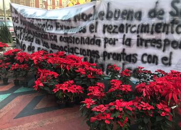 Exigen compra de más de 200 mil Nochebuenas que no se vendieron por bloqueos en Xochimilco