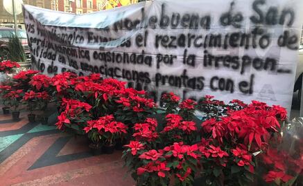 Exigen compra de más de 200 mil Nochebuenas que no se vendieron por bloqueos en Xochimilco