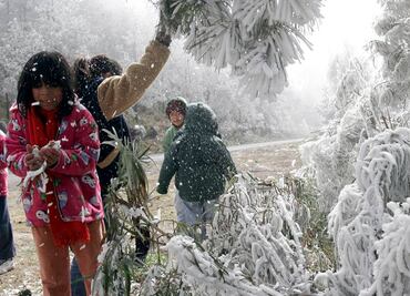 Pronostican heladas en noreste y centro del país