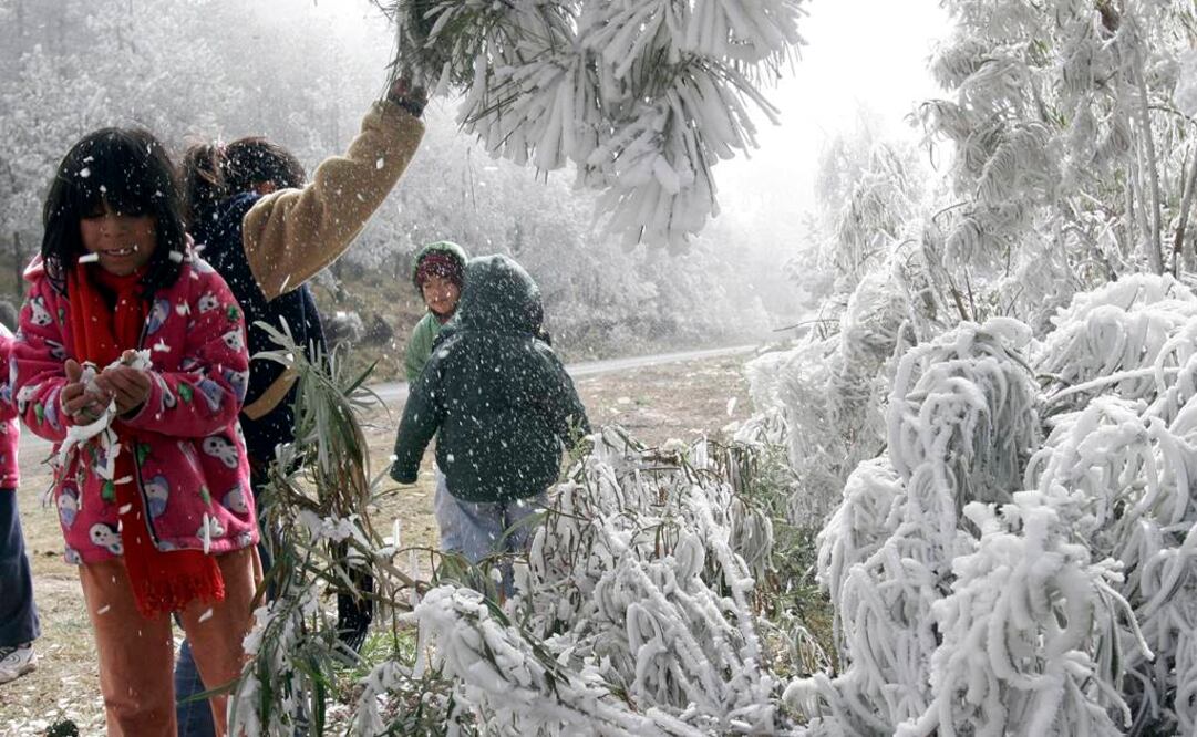 Foto: Archivo EL UNIVERSAL