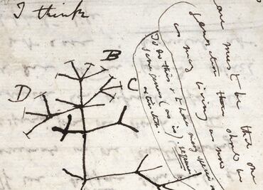 La Universidad de Cambridge llama a recuperar dos cuadernos de Darwin que da por robados