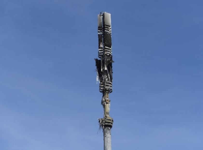 Mitos y verdades: ¿Qué sabemos del origen del SARS-CoV-2?