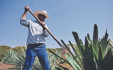 Mezcal mexiquense: tradición, identidad y futuro
