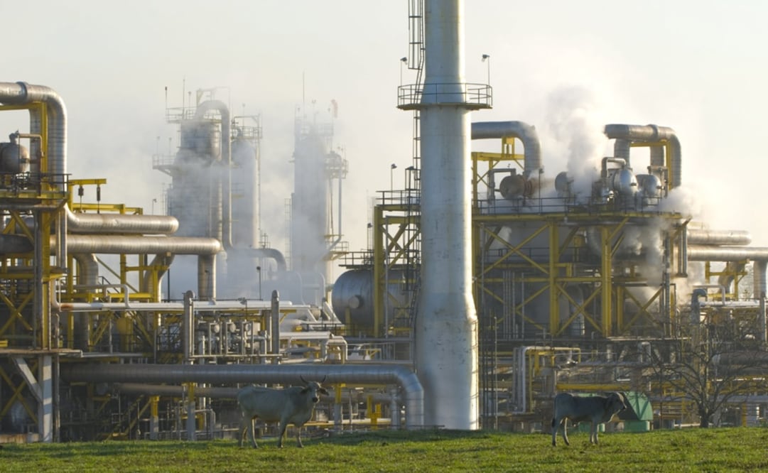 Petroprecios comienzan a afectar a economía global: OPEP