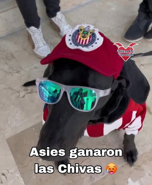 Chivas MEMES