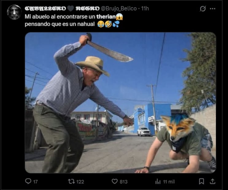 Estos son los mejores memes que han dejado los “therian”. Foto: Captura de pantalla