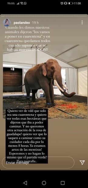 Acusan a Arturo Islas de "armar circo" en el rescate del elefante Big Boy