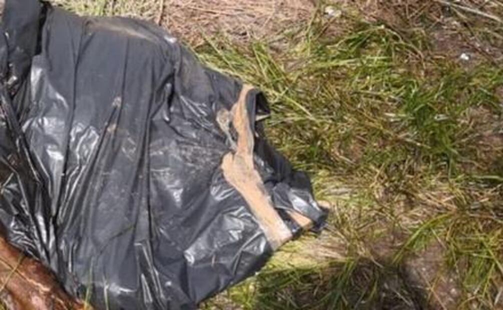 Abandonan cadáver descuartizado sobre la México-Pachuca