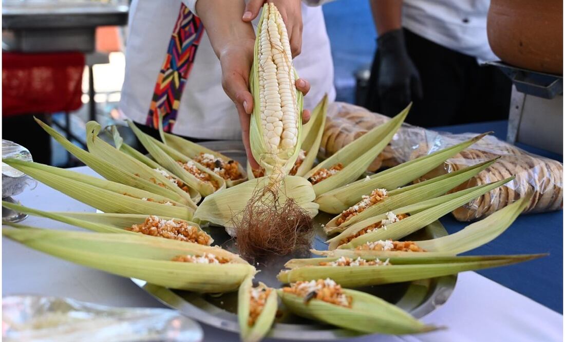 Gobernadora de Morelos visualiza inversión de 700 millones para el sector campesino en 2025 (11/10/2024). Foto: Justino Miranda / EL UNIVERSAL