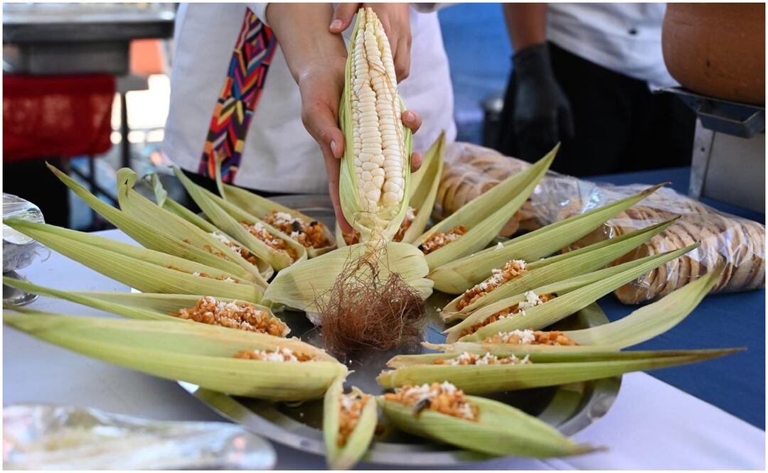 Gobernadora de Morelos visualiza inversión de 700 millones para el sector campesino en 2025 (11/10/2024). Foto: Justino Miranda / EL UNIVERSAL