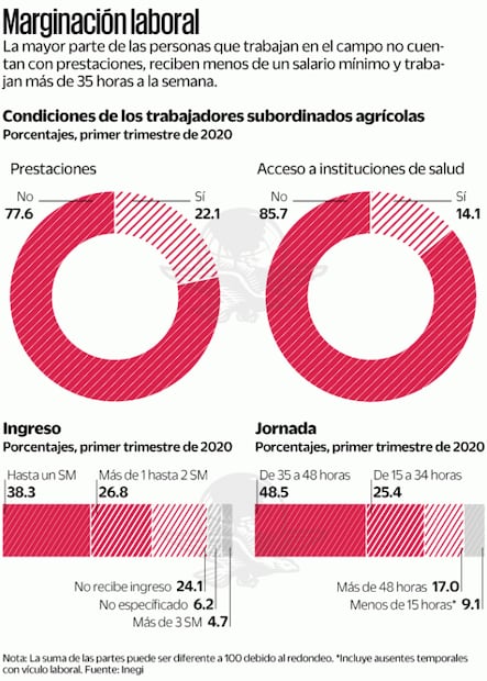 Covid agrava precariedad de jornaleros mexicanos