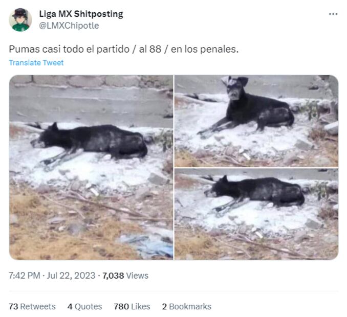 Los mejores memes del partido entre Pumas y Montreal - Foto: Especial