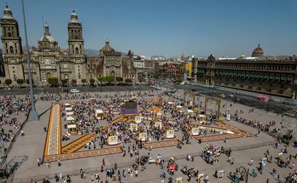 Reportan visita de mas de 800 mil personas a Megaofrenda del Zócalo