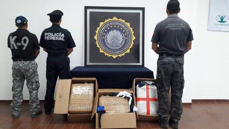 Decomisan 30 kilogramos de marihuana en Mérida