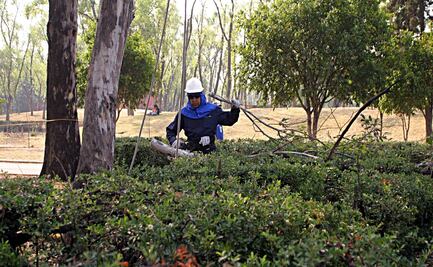 Ayuntamiento de Puebla ofrece 400 empleos temporales ante crisis por Covid