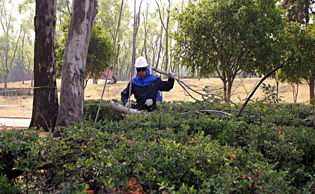 Foto: Archivo/EL UNIVERSAL.