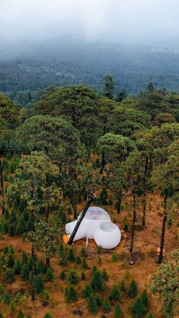 Celebra Halloween en Alpino, el primer hotel burbuja de CDMX