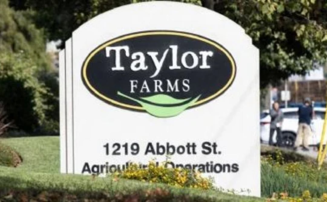 Taylor Farms. Foto: AFP