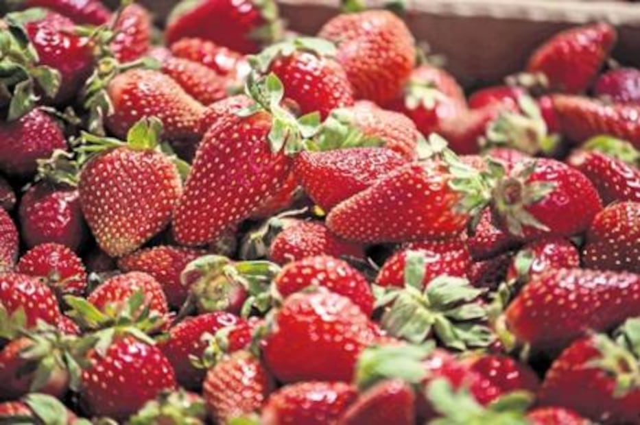 Los alimentos que debes consumir para verte joven