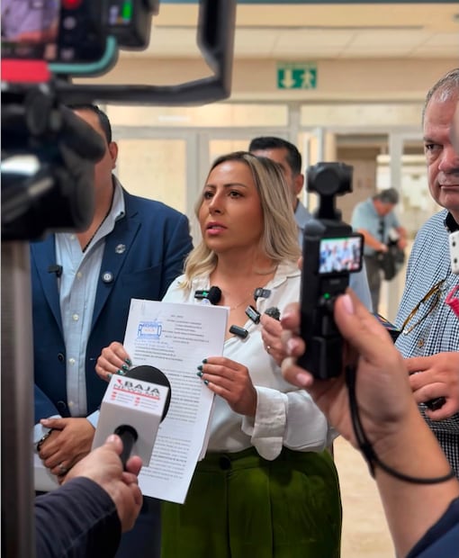 Lizbeth Mata Lozano dirigente del Partido Acción Nacional en Baja California. Foto: Redes sociales