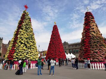 Roscas, carreras y rallys: estas serán las actividades para celebrar el Día de los Reyes Magos en la CDMX