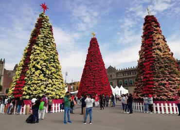 Roscas, carreras y rallys: estas serán las actividades para celebrar el Día de los Reyes Magos en la CDMX