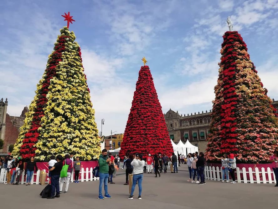 El próximo 5 de enero se partirá la rosca de Reyes en el Zócalo capitalino. Foto: Sectur México