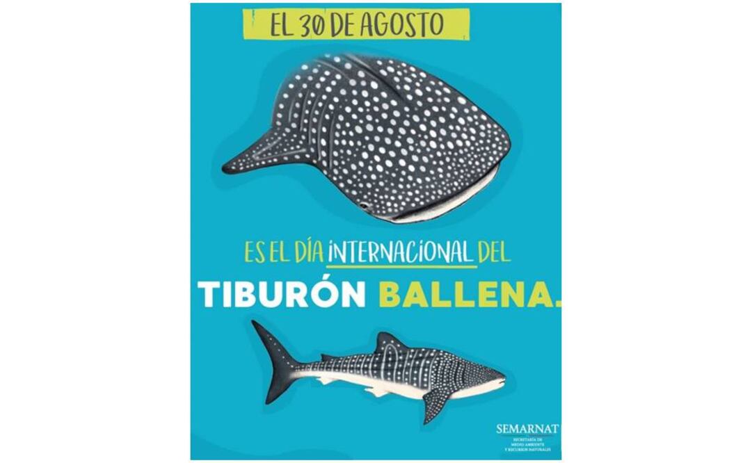 Tomada de @SEMARNAT_mx